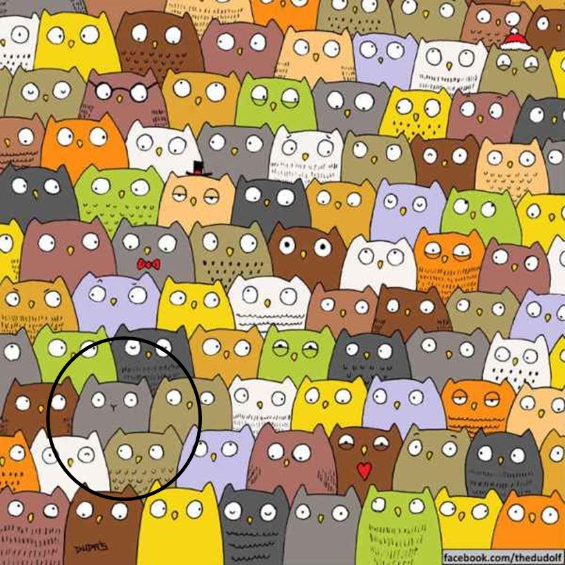 eye test, eyesight test, optical illusions, optical puzzles, spot the cat, spot the panda, spot the animal hidden in the picture, visual puzzles, cigar in the brick wall, cigar in the wall