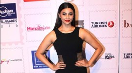 Daisy Shah, Daisy Shah news, Daisy Shah movies, Jai Ho, Hate Story 3, Daisy Shah actress, Entertainment news