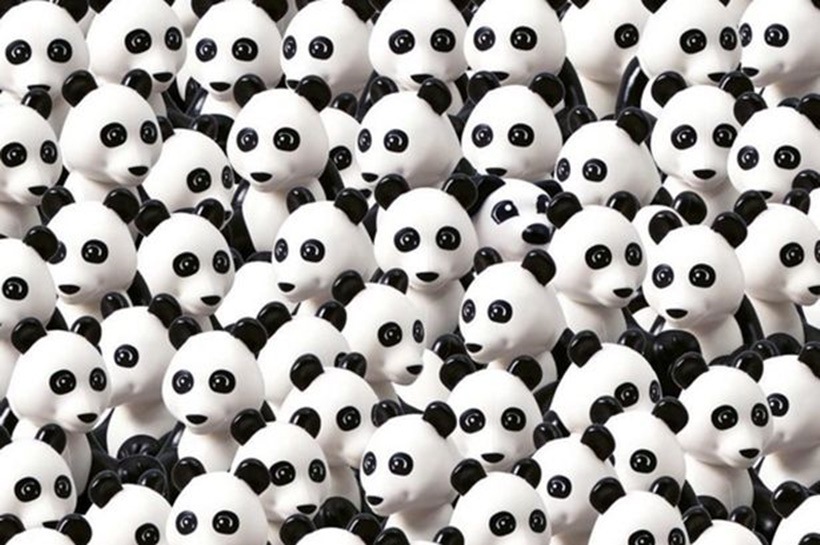 eye test, eyesight test, optical illusions, optical puzzles, spot the cat, spot the panda, spot the animal hidden in the picture, visual puzzles, cigar in the brick wall, cigar in the wall