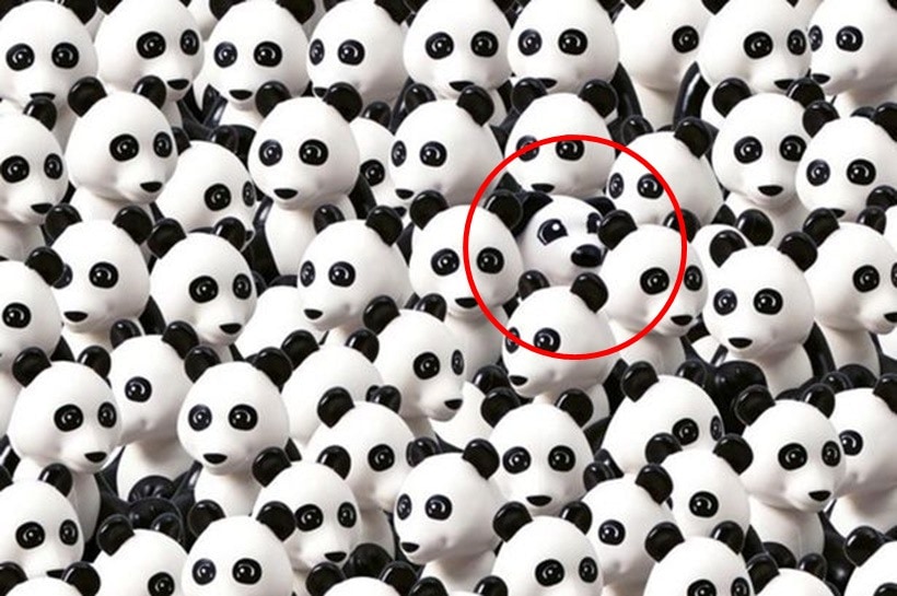 eye test, eyesight test, optical illusions, optical puzzles, spot the cat, spot the panda, spot the animal hidden in the picture, visual puzzles, cigar in the brick wall, cigar in the wall