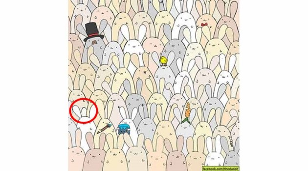 eye test, eyesight test, optical illusions, optical puzzles, spot the cat, spot the panda, spot the animal hidden in the picture, visual puzzles, cigar in the brick wall, cigar in the wall