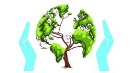 caf, compensatory afforestation bill, caf bill, caf bill india, lok sabha, piyush goyal, power minister piyush goyal, bjp, nda,india news