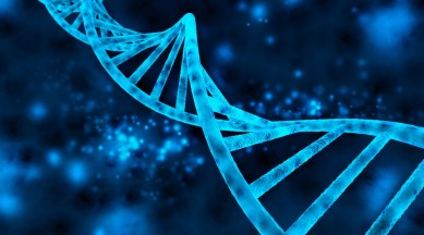 hereditary diseases, genes and diseases, gene-based diseases, family diseases, health news