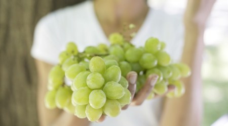 grapes to cure depression, cure for depression, mental health, mental illness