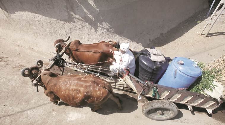 gujarat water problem, water crisis gujarat, gujarat water, gujarat drought, amreli district, waterless gujarat, cremation, hindola village, indian express ahmedabad, ahmedabad news