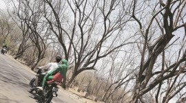 heat wave, north india heat wave, maximum temperature, high temperature, north india temperature, 50 degree celcius