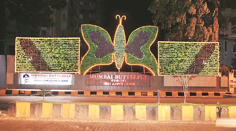 The Vertical Butterfly Garden and in Andheri. Express Photo