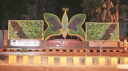 vertical butterfly garden, magic carpet garden, street art, mumbai street art, andheri street art, street art in mumbai