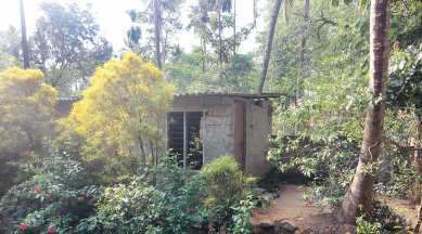 Kerala Dalit woman rape, kerala, kerala dalit, derala dalit rape, dalit rape, dalit rape murder, kerala nirbhaya, nirbhaya, rape, kerala police, kerala arrest, kerala news