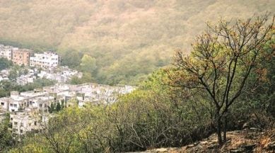 pune, pune news, pune revenue department, pune forest land, forest department, indian express news