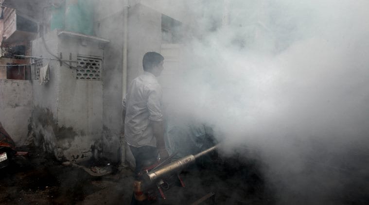 pune, pune news, malaria, malaria news, malaria india, dengue, pune doctors, indian express news