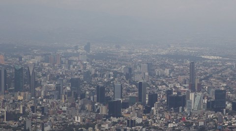 Mexico to plant 18 million trees to tackle pollution | World News - The ...