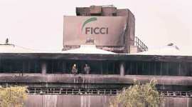 museum, museum fire,National Museum for Natural History, delhi museum gutted, fire in delhi national museum, disaster management, disaster risk management plan for museums, india news, indian express