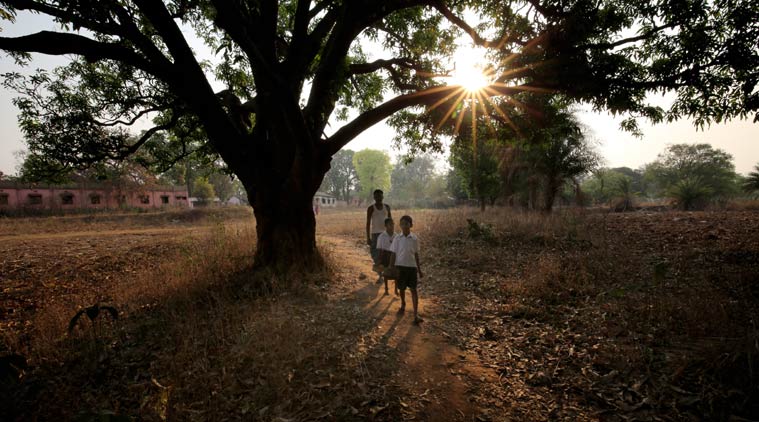 Nabarangpur, Odisha, odisha poorest district, odisha schools, poorest district in india, india poorest district development, odisha mahua traders, odisha news, Nabarangpur news, district zero news, indian express, indian express district zero