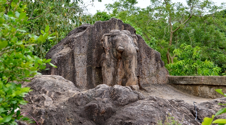 odisha travel_Elepant sculpted above Asoka's rock edicts_759