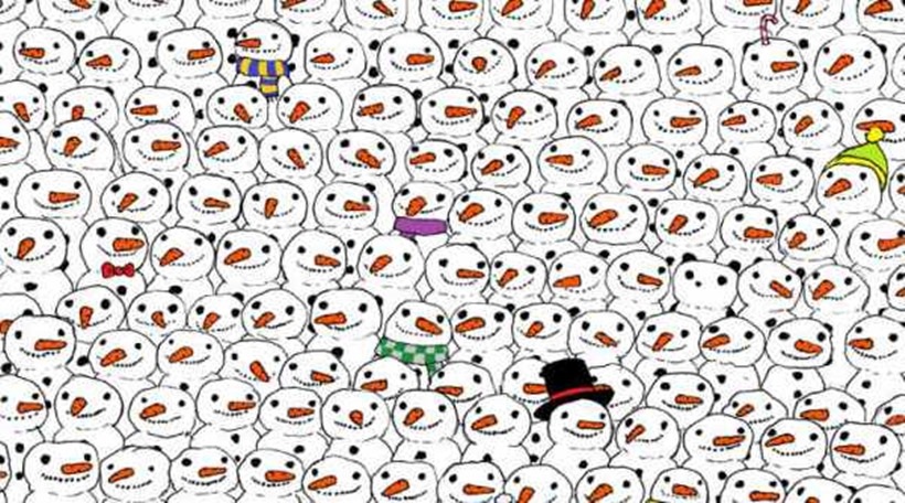 eye test, eyesight test, optical illusions, optical puzzles, spot the cat, spot the panda, spot the animal hidden in the picture, visual puzzles, cigar in the brick wall, cigar in the wall