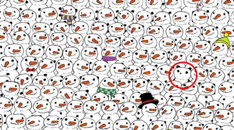eye test, eyesight test, optical illusions, optical puzzles, spot the cat, spot the panda, spot the animal hidden in the picture, visual puzzles, cigar in the brick wall, cigar in the wall