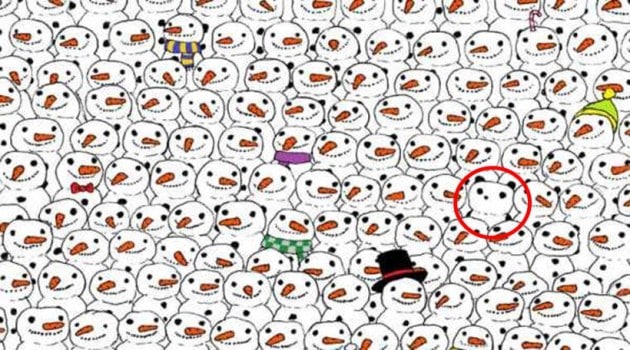 eye test, eyesight test, optical illusions, optical puzzles, spot the cat, spot the panda, spot the animal hidden in the picture, visual puzzles, cigar in the brick wall, cigar in the wall