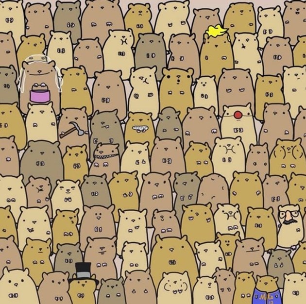 eye test, eyesight test, optical illusions, optical puzzles, spot the cat, spot the panda, spot the animal hidden in the picture, visual puzzles, cigar in the brick wall, cigar in the wall