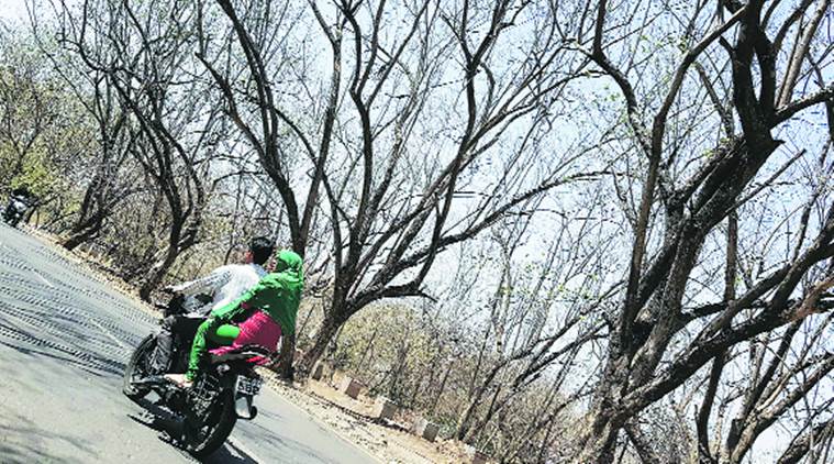 Pune, Pune heat, heat, met department, temperature, pune temperature, pune news