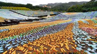 Solid Waste Management, waste management China recycling imports, trash ban, china recycling, china news, Indian Express