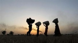 maharashtra crop loan, nabard annual status paper, western maharashtra, maharashtra farmers, indian express