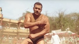 Salman Khan, Salman, Salman Khan news, Salman Khan sultan, Salman Khan body, Salman Khan weight, Salman Khan gyming, sultan, sultan film, sultan shoot, sultan cast, Ali Abbas Zafar, Ali Abbas Zafar film, Ali Abbas Zafar sultan, entertainment news