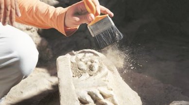 research, express research, archaeology, non invasive archaeology, archaeological techniques