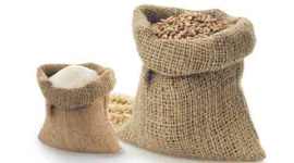 Madhya pradesh, soil in wheat bags, madhya pradesh wheat bags, wheat bags, madhya pradesh wheat warehouse, latest news, india news, indian express