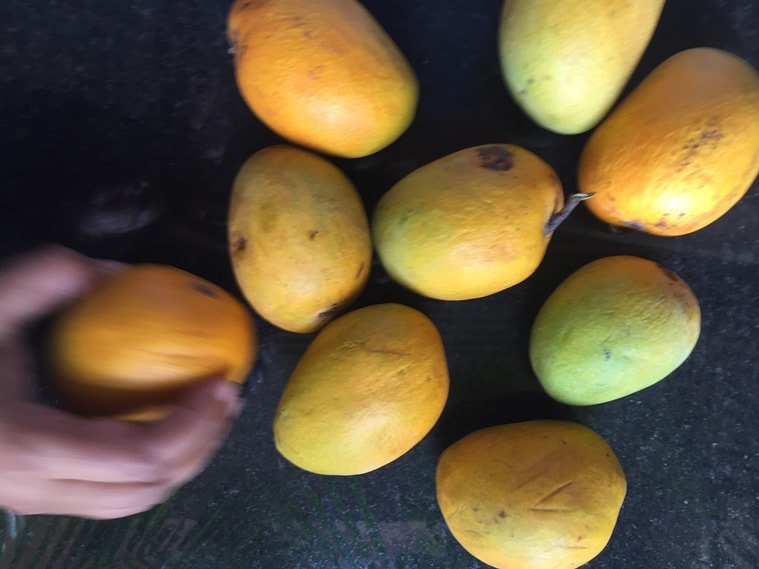 Tagore's great love for mangoes in captured in his poem, Nimantran.
