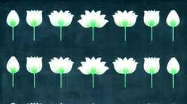 delhi artist, delhi art exhibition, sundaram tagore chelsea, olivia frasers, delhi painting, delhi art gallery, paintings of God, indian express talk