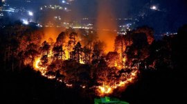 uttarakhand fire, uttarakhand forest fire, latur water, latur drought, india drought, agustawestland probe, kerala woman rape, india news