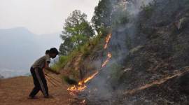 Uttarakhand fire, NGT, uttarakhand, himachal government, indian express uttarakhand fire