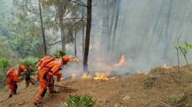 uttarakhand, uttarakhand forest fire, ndrf uttarakhand forest fire, iaf uttarakhand forest fire, india forest fire, uttarakhand news, india news, latest news