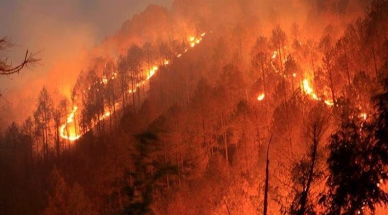 A view of the Uttarakhand forest burning