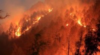 uttarakhand fire, uttarakhand forest fire, forest fire, india forest fire, tehri garhwal, tehri garhwal women, tehri garhwal fire loss