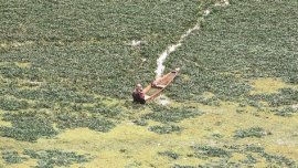 wetlands, wetlands conservation, wetlands conservation bill, wetlands draft bill 2010, wetlands bill 2010, national green tribunal, ngt india, tourist attraction wetlands