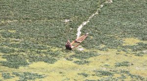 New conservation rules may soon apply to wetlands. What are they?