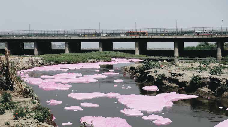 National Green Tribunal, Yamuna river, Yamuna river pollution, pollution, Delhi pollution, drain load Yamuna, bacteriological contamination, news, latest news, India news, national news, sewage treatment plants, Delhi Jal Board, ISBT drain, Tonga stand, Kailash Nagar, Delhi gate drain, Sen Nursing Home, Jaitpur drain, Tughlakabad drain