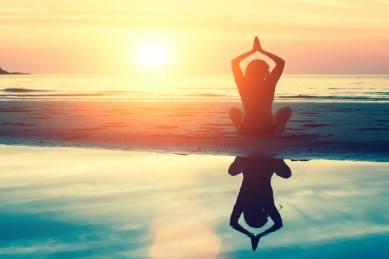 international yoga day, yoga day, yoga day celebration, narendra modi, make in india, india made mats, AYUSH Minister, Shripad Naik, chandigarh yoga day, indian express news, india news, yoga day updates