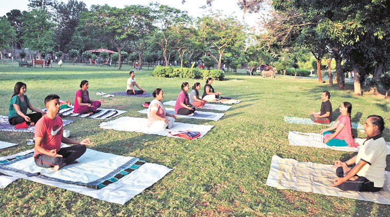 Most of the parks in Chandigarh have been converted into green belts, and children cannot play there. (Source: Express photo by Sahil Walia)