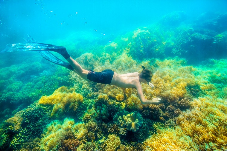 Airbnb Great Barrier Reef snorkeling_759