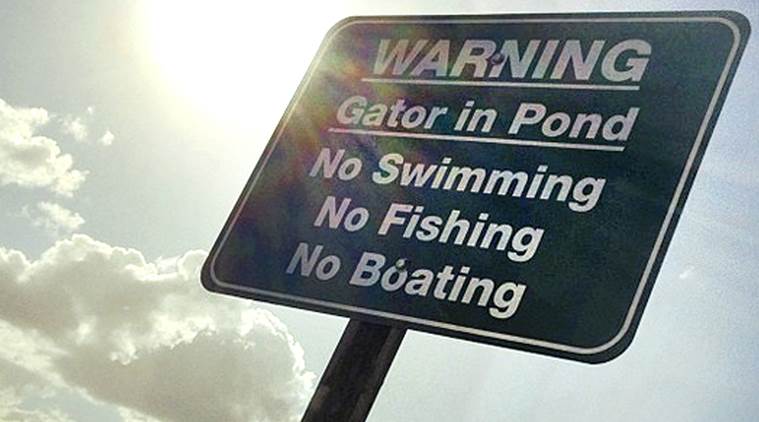 Walt Disney World, Alligator attacks, Alligator drowns boy, Alligator drags boy, Disney World lagoon tragedy, Disney World Criminal Probe, Latest News, World News