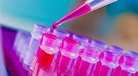 Maharashtra Forensic Science Laboratory clears storeroom of residual samples from old cases