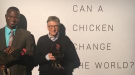 Bill gates, Bill gates chicken plan, bill gates africa poor, gates chicken plan, chicken for poor, bill gates african poor, bill gates chicken donate, gates donate chicken, bill gates donate chicken africa, latest news, latest world news