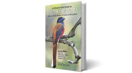 birds of india, birds of india book, book on birds of india, indian birds, book on indian birds, indian birds book