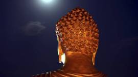 Thailand junta leader, junta leader, Thailand Buddhist temple control, junta leader control over Buddhist temple, Prime Minister Prayuth Chan-ocha, world news, indian express news