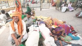 Bundelkhand drought, Bundelkhand migrants, Delhi migrants, Delhi NGO, NGO survey, Temporary shelters, ActionAid, Centre For Holistic Development, Indo-Global Social Service Society, Delhi News, India News
