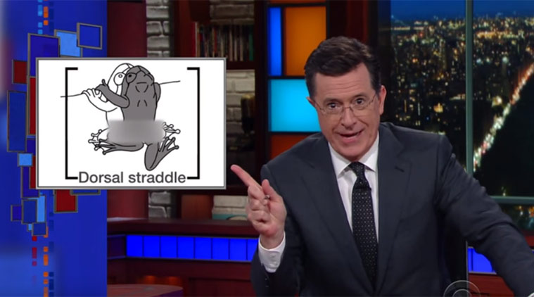 Stephen Colbert, Stephen Colbert show, Stephen Colbert beast reality, Stephen Colbert videos, Stephen Colbert frog sex, frog sex, frog sex position, bombay night frogs
