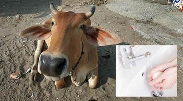 Beef ban, cow meat, Punjab soap manufacturers, Kimti Bhagat, Soap industry Punjab, cows, Punjab, soap manufacture, soap, Gau Raksha Dal, soap manufacturer and trader welfare society, soap cow, cow soap, soap ingredient cow, soap buffalo fat, Punjab news, Amritsar news, India news, latest news